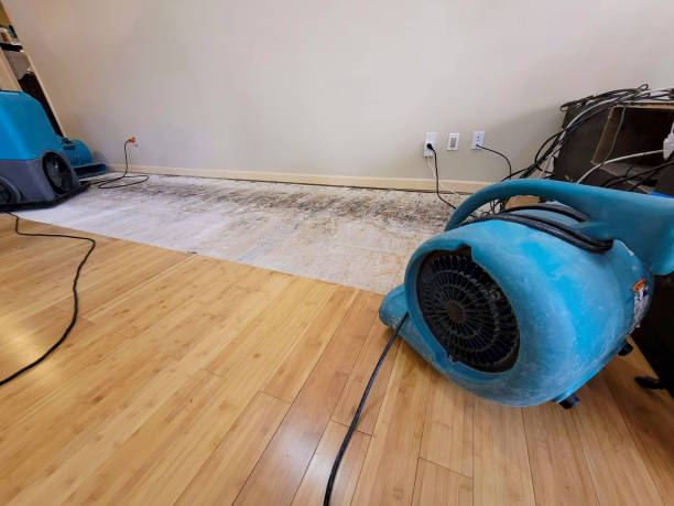 Professional Burst Pipe Water Damage technician working in Valley, WA